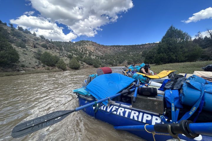 a blue and white boat sitting next to a body of water
