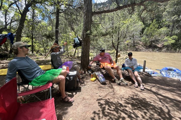 a group of people sitting at a park
