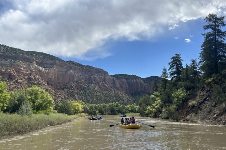 a boat floating along a river next to a body of water